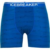 Icebreaker MEN ANATOMICA BOXERS Miehet - Tekninen alusasu
