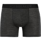 Icebreaker M ANATOMICA COOL-LITE BOXERS Miehet - 