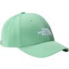 The North Face RECYCLED 66 CLASSIC HAT Miehet Lippalakki LUPINE - DEEP GRASS GREEN