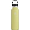 Hydro Flask STANDARD MOUTH 621ML Juomapullo AGAVE - PINEAPPLE